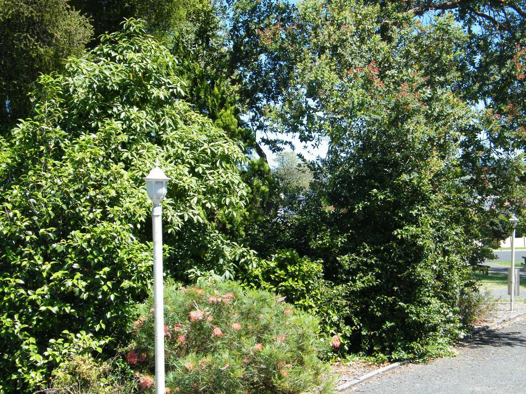 Bega Caravan Park エクステリア 写真