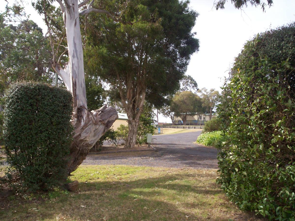 Bega Caravan Park エクステリア 写真